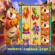 numero raposa jogo do bicho